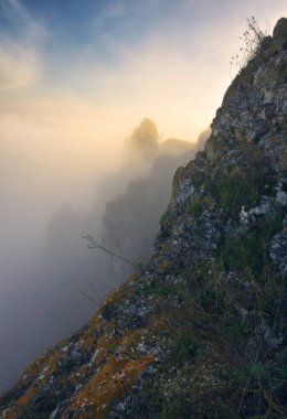 Kanyonda sis var. Dnister Nehri Vadisi 'nde sonbahar sabahı. Ukrayna 'nın Doğası