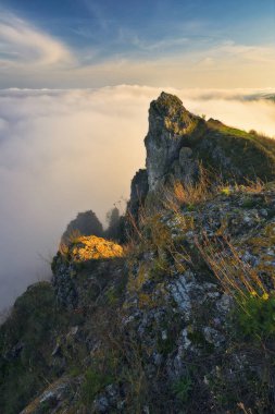 Kanyonda sis var. Dnister Nehri Vadisi 'nde sonbahar sabahı. Ukrayna 'nın Doğası
