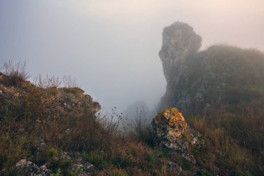 Kanyonda sis var. Dnister Nehri Vadisi 'nde sonbahar sabahı. Ukrayna 'nın Doğası