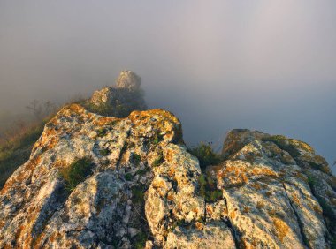 Kanyonda sis var. Dnister Nehri Vadisi 'nde sonbahar sabahı. Ukrayna 'nın Doğası