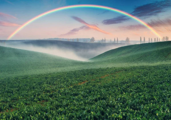 Scenic Uitzicht Regenboog Groen Veld Dramatische Grijze Lucht Boven Een — Stockfoto