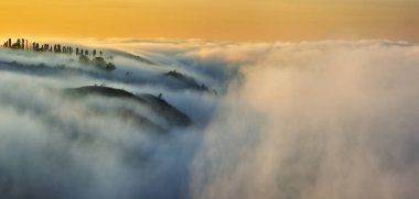 Trees in the Fog. Autumn morning. Nature of Ukraine