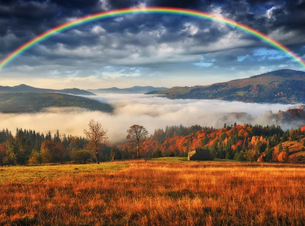 彩虹掠过高山 在喀尔巴阡山脉的秋天的早晨 乌克兰的性质 — 图库照片