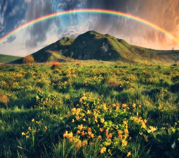 Regenbogen Über Der Wiese Malerischer Frühlingsmorgen Natur Der Ukraine — Stockfoto