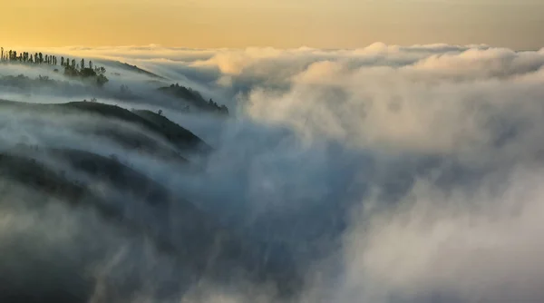 Туман Каньоне Осеннее Утро Долине Реки Днестр Природа Украины — стоковое фото