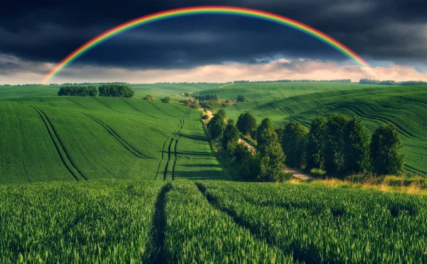 Scenic View Rainbow Green Field Dramatic Gray Sky Picturesque Hilly — Stock Photo, Image