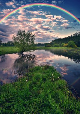 Landscape with a Rainbow on the River in Spring. colorful morning. nature of Ukraine