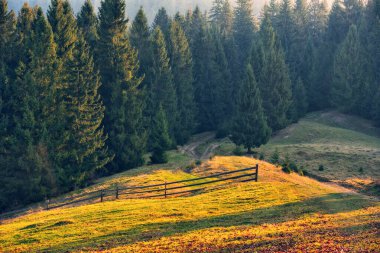 Karpat dağlarında sonbahar akşamı. Ukrayna 'nın doğası