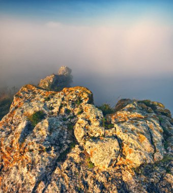 Kanyonda sis var. Dnister Nehri Vadisi 'nde sonbahar sabahı. Ukrayna 'nın Doğası