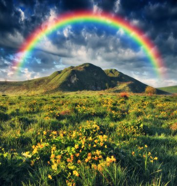 Çayırın üstünde gökkuşağı. resim gibi bir bahar sabahı. Ukrayna 'nın doğası