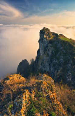 Kanyonda sis var. Dnister Nehri Vadisi 'nde sonbahar sabahı. Ukrayna 'nın Doğası