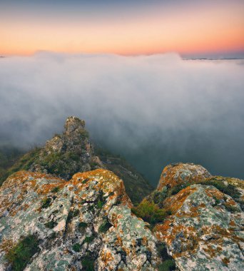 Kanyonda sis var. Dnister Nehri Vadisi 'nde sonbahar sabahı. Ukrayna 'nın Doğası