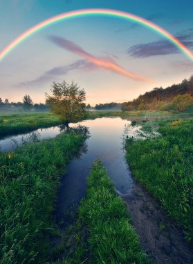 Çayırın üstünde gökkuşağı. resim gibi bir bahar sabahı. Ukrayna 'nın doğası