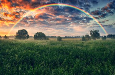 Çayırın üstünde gökkuşağı. resim gibi bir bahar sabahı. Ukrayna 'nın doğası