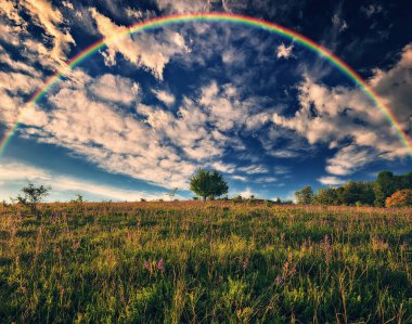 Çayırın üstünde gökkuşağı. resim gibi bir bahar sabahı. Ukrayna 'nın doğası