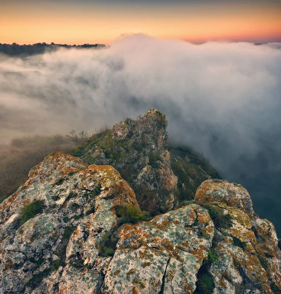Kanyonda sis var. Dnister Nehri Vadisi 'nde sonbahar sabahı. Ukrayna 'nın Doğası