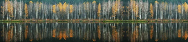 Herfst Bos Weerspiegeld Water Kleurrijke Herfstochtend Aard Van Oekraïne — Stockfoto