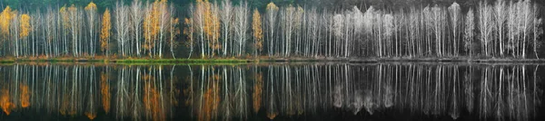 Jesienny Las Odbity Wodzie Kolorowy Jesienny Poranek Charakter Ukrainy — Zdjęcie stockowe