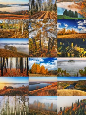 Sonbahar Kolajı. Sonbahar manzaraları serisi. Ukrayna 'nın doğası