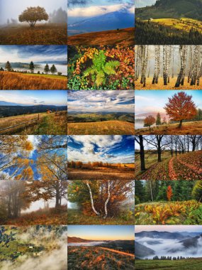 Sonbahar Kolajı. Sonbahar manzaraları serisi. Ukrayna 'nın doğası