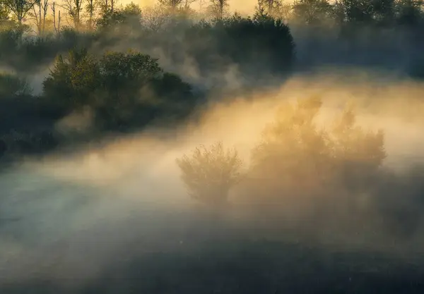Trees Fog Autumn Morning Nature Ukraine — Stockfoto