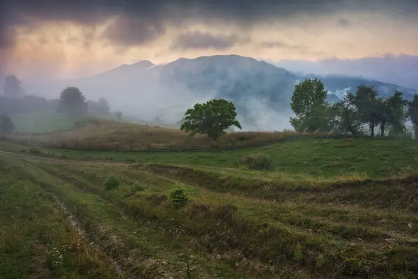 Summer morning in the Carpathian Mountains. Morning fog in the mountains. Nature of Ukraine