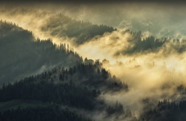 Sabah dağlarının siluetleri. Karpatlar 'da sisli bir sabah. Dağ manzarası