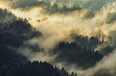 Sabah dağlarının siluetleri. Karpatlar 'da sisli bir sabah. Dağ manzarası