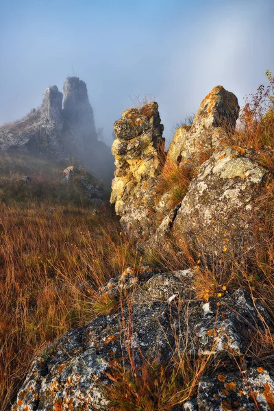 Kanyonda sis var. Dnister Nehri Vadisi 'nde sonbahar sabahı. Ukrayna 'nın Doğası