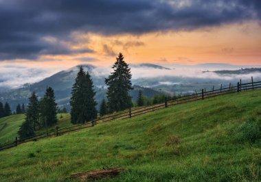 Karpat Dağları 'nda sabah. Dağlarda sabah sisi. Ukrayna 'nın Doğası