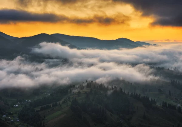 morning in the Carpathian Mountains. Morning fog in the mountains. Nature of Ukraine