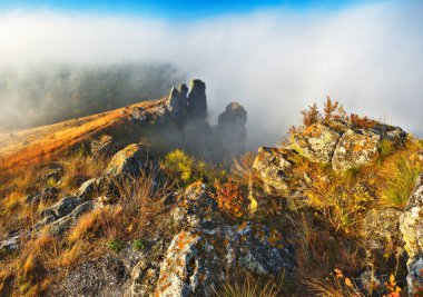 Gündoğumunda güzel bir sonbahar manzarası. Resmedilmeye değer nehir kanyonu. Ukrayna 'nın doğası