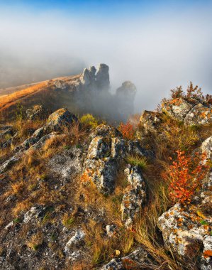 Gündoğumunda güzel bir sonbahar manzarası. Resmedilmeye değer nehir kanyonu. Ukrayna 'nın doğası