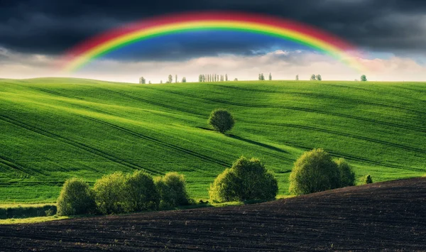 Hermoso Arco Iris Sobre Campo Paisaje Agrícola Naturaleza Ucrania — Foto de Stock