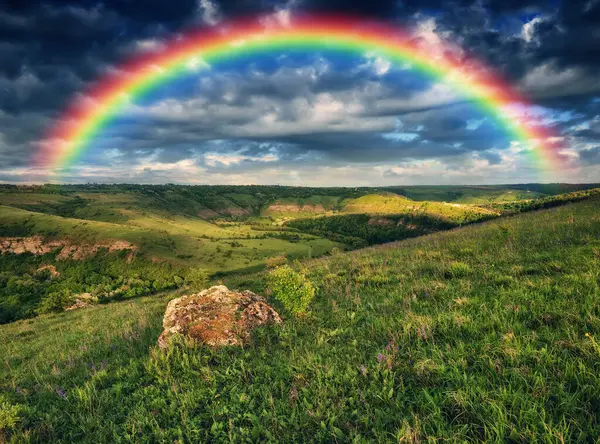朝は草と花で 色鮮やかな虹が咲いています ウクライナの性質 — ストック写真