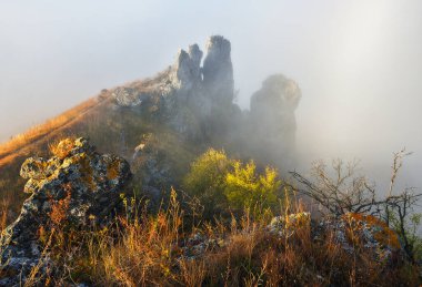 Gündoğumunda güzel bir sonbahar manzarası. Resmedilmeye değer nehir kanyonu. Ukrayna 'nın doğası
