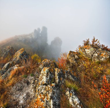 Kanyonda sis var. Dnister Nehri Vadisi 'nde sonbahar sabahı. Ukrayna 'nın Doğası
