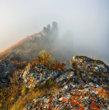 Gündoğumunda güzel bir sonbahar manzarası. Resmedilmeye değer nehir kanyonu. Ukrayna 'nın doğası