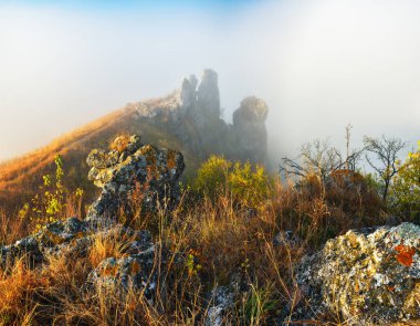 Gündoğumunda güzel bir sonbahar manzarası. Resmedilmeye değer nehir kanyonu. Ukrayna 'nın doğası