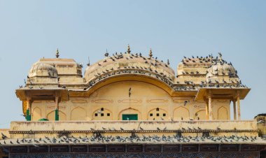  Üzerinde kuşlar olan eski bir tarihi binanın kemerli kubbesi..