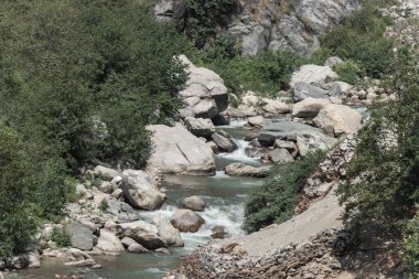 Arka eteklerdeki çalıların arasından akan küçük bir nehir..