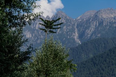 Vadide ormanlı bir dağın alçak açılı görüntüsü..