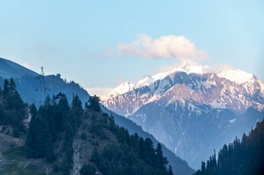 Önplanda yemyeşil ormanlı, karla kaplı bir dağın geniş manzara görüntüsü..