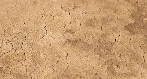 stock image light earth with cracks - land in a drought period