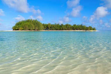 Bir lagünün dalgalanan sularından görünen küçük bir tropikal ada. Muri Lagünündeki Koromiri Adası, Rarotonga, Cook Adaları
