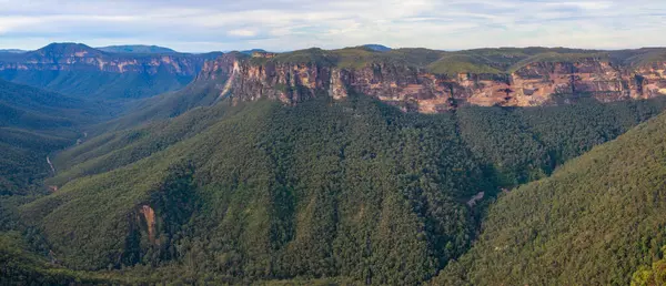 stock image Panoramic landscape in the Blue Mountains, New South Wales, Australia. Sandstone cliffs and eucalyptus forests seen from Evans Lookout
