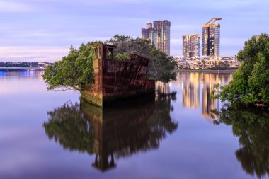 SS Ayrfield 'ın paslı Hulk' u Homebush Bay, Sydney, Avustralya 'da mangrovlarla kaplandı.