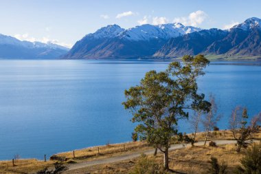Güzel Hawea Gölü, Yeni Zelanda 'nın güney adasında bir buzul gölü.