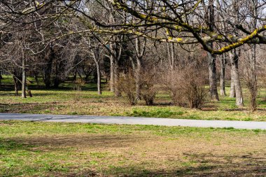 Autumn scenery with alley of fall leaves