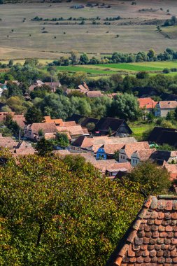 Romanya 'da bitki örtüsü, tarlaları ve evleri olan bir kırsal alan manzarası.